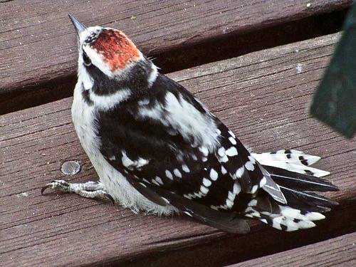 dare I try to get there? by withrow is licensed under CC BY-NC 2.0